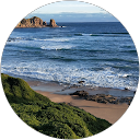 seema profile picture